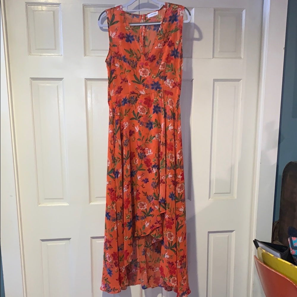 Calvin Klein sheer Orange floral Sleeveless V-neck Sundress